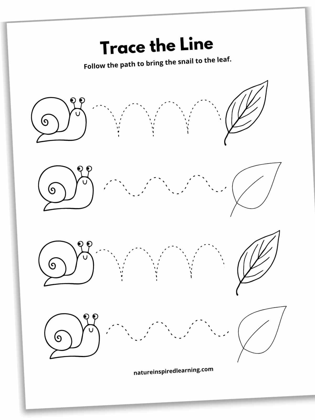 17 Line Tracing Worksheets (Free) - Nature Inspired Learning in Free Printable Tracing Lines Worksheets