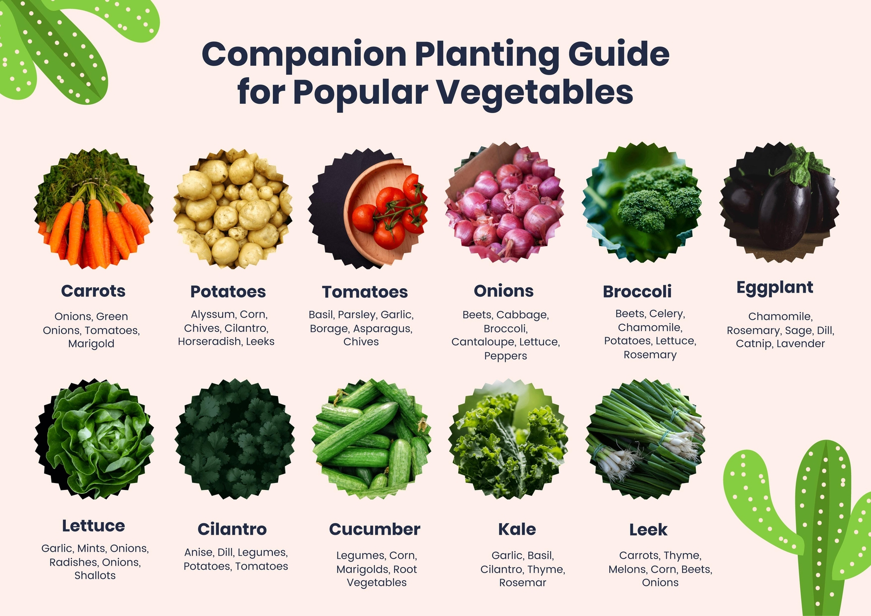 Companion Planting Chart For Popular Vegetables In Pdf inside Vegetable Companion Planting Chart Printable