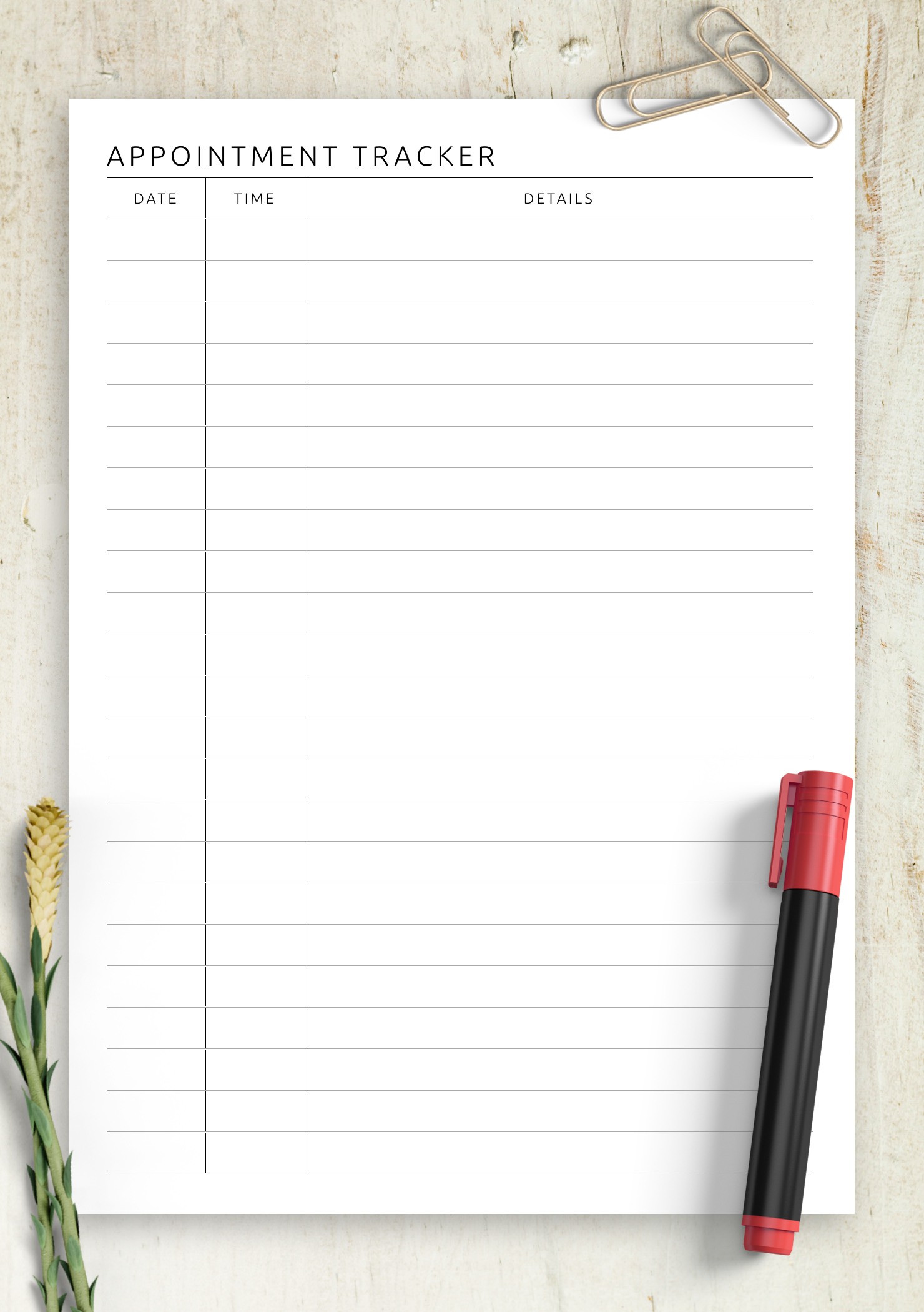 Download Printable Appointment Tracker Template Pdf pertaining to Pdf Free Printable Appointment Sheets