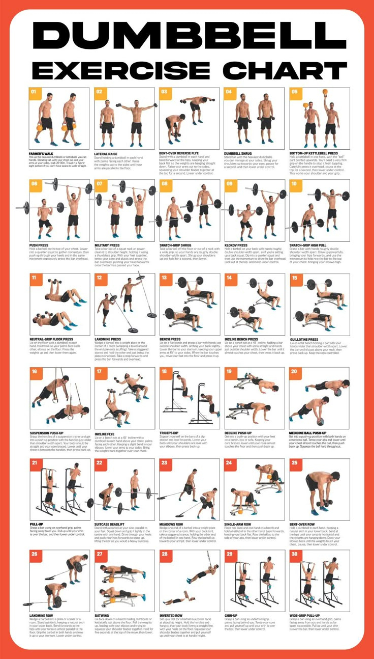 Dumbbell Workout Poster - 10 Free Pdf Printables | Printablee in Free Printable Dumbbell Workout Chart