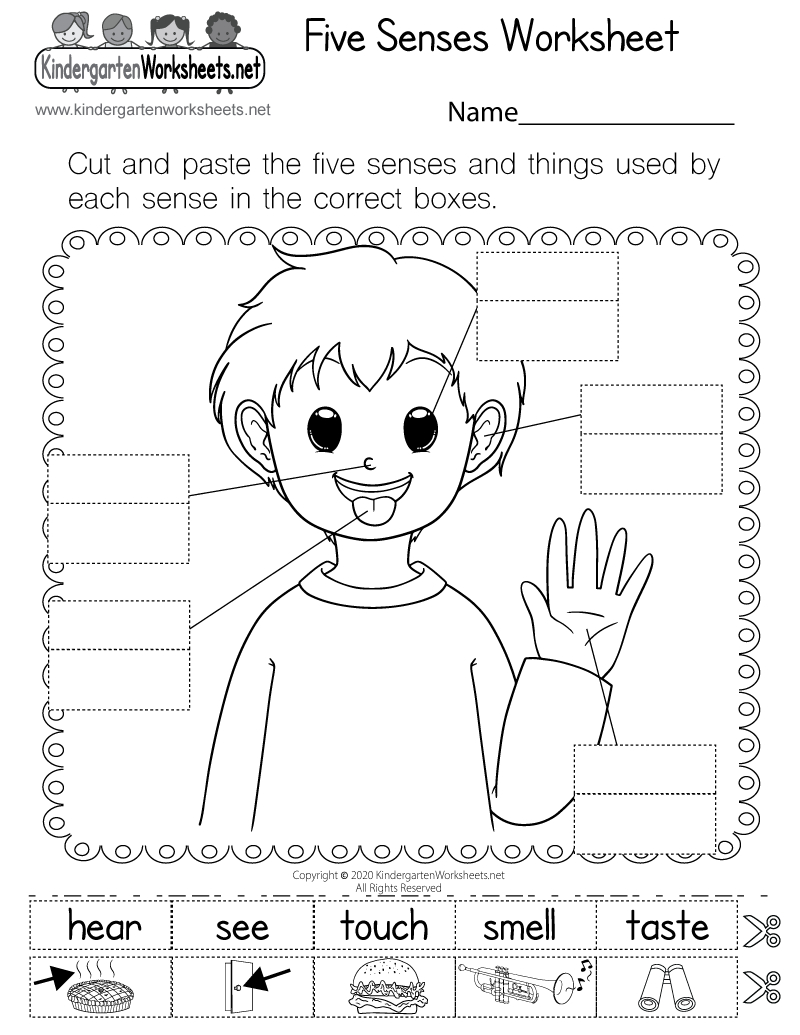 Five Senses Worksheet - Free Printable, Digital, & Pdf regarding Five Senses Activities For Preschool Printables