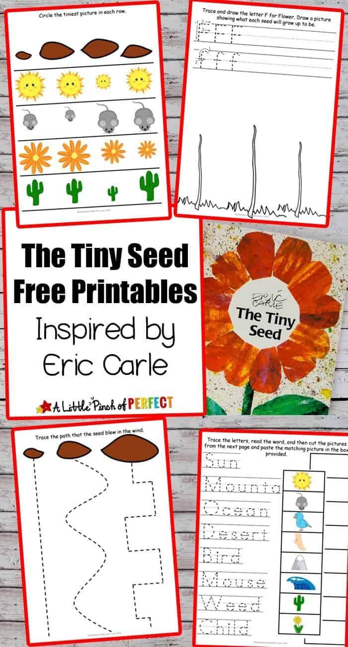 Flower Potato Stamping Craft And The Tiny Seed Free Printables - A in The Tiny Seed Free Printables