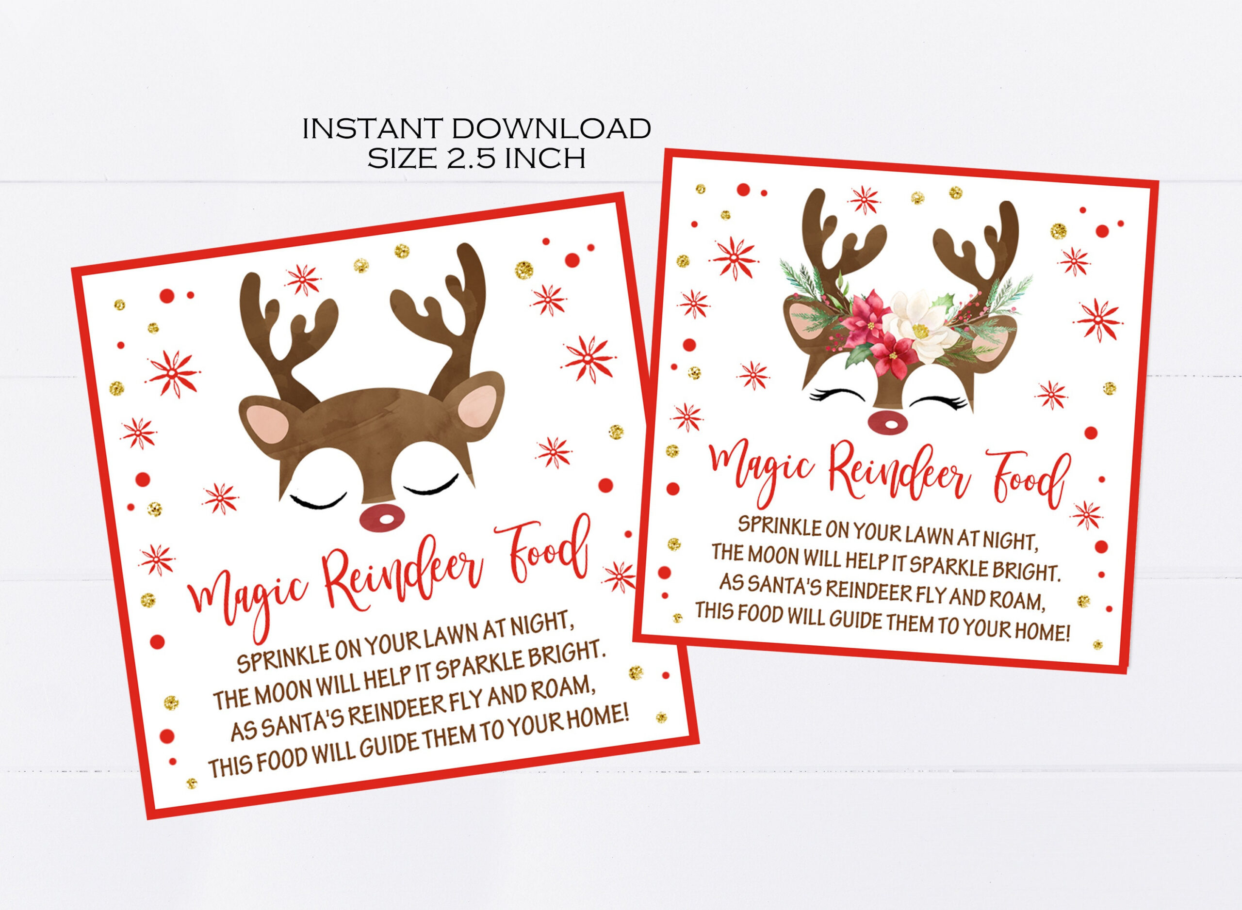 Magic Reindeer Food Tags Printable, Christmas Party Favors for Reindeer Food Printable Tags